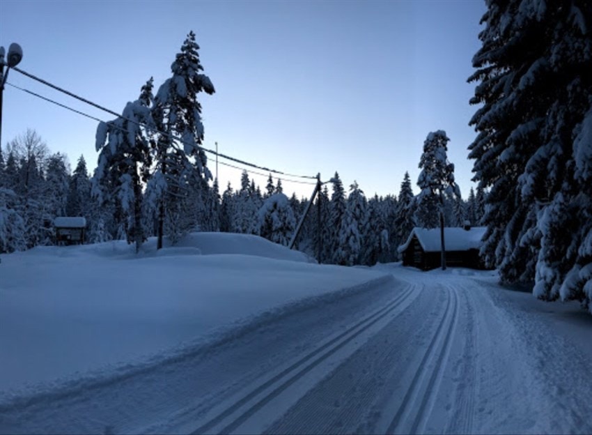 Eiendommen har umiddelbar nærhet til merkede løyper som fører inn til Risdalstårnet og Hellashytta. Galleribilde