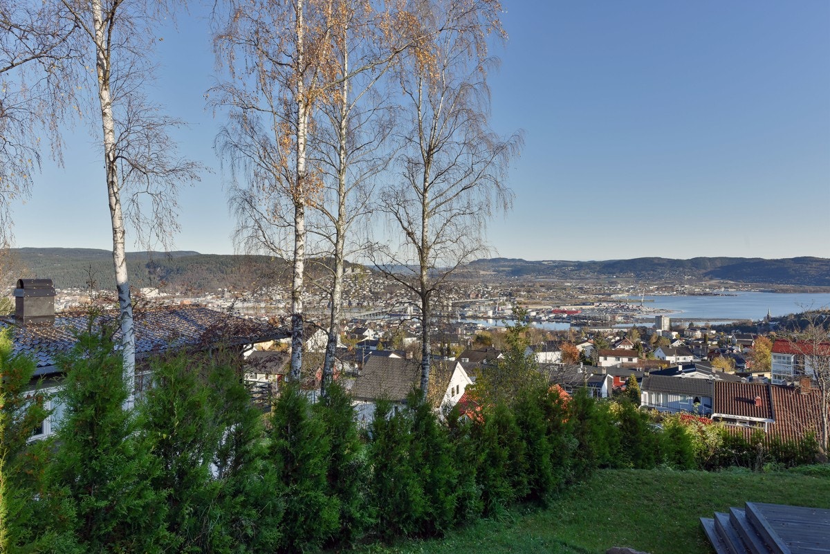 En av Drammens beste utsikter Galleribilde
