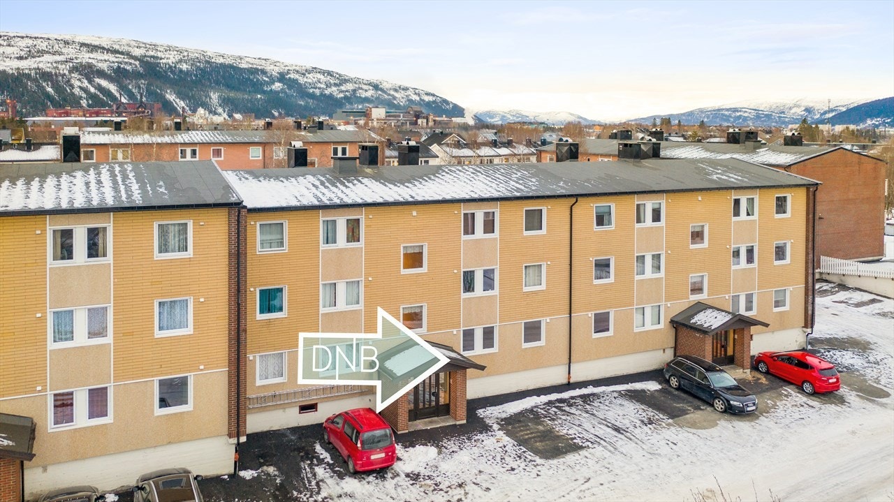 Ole Morten Grotnes ønsker deg hjertelig velkommen til visning! Galleribilde