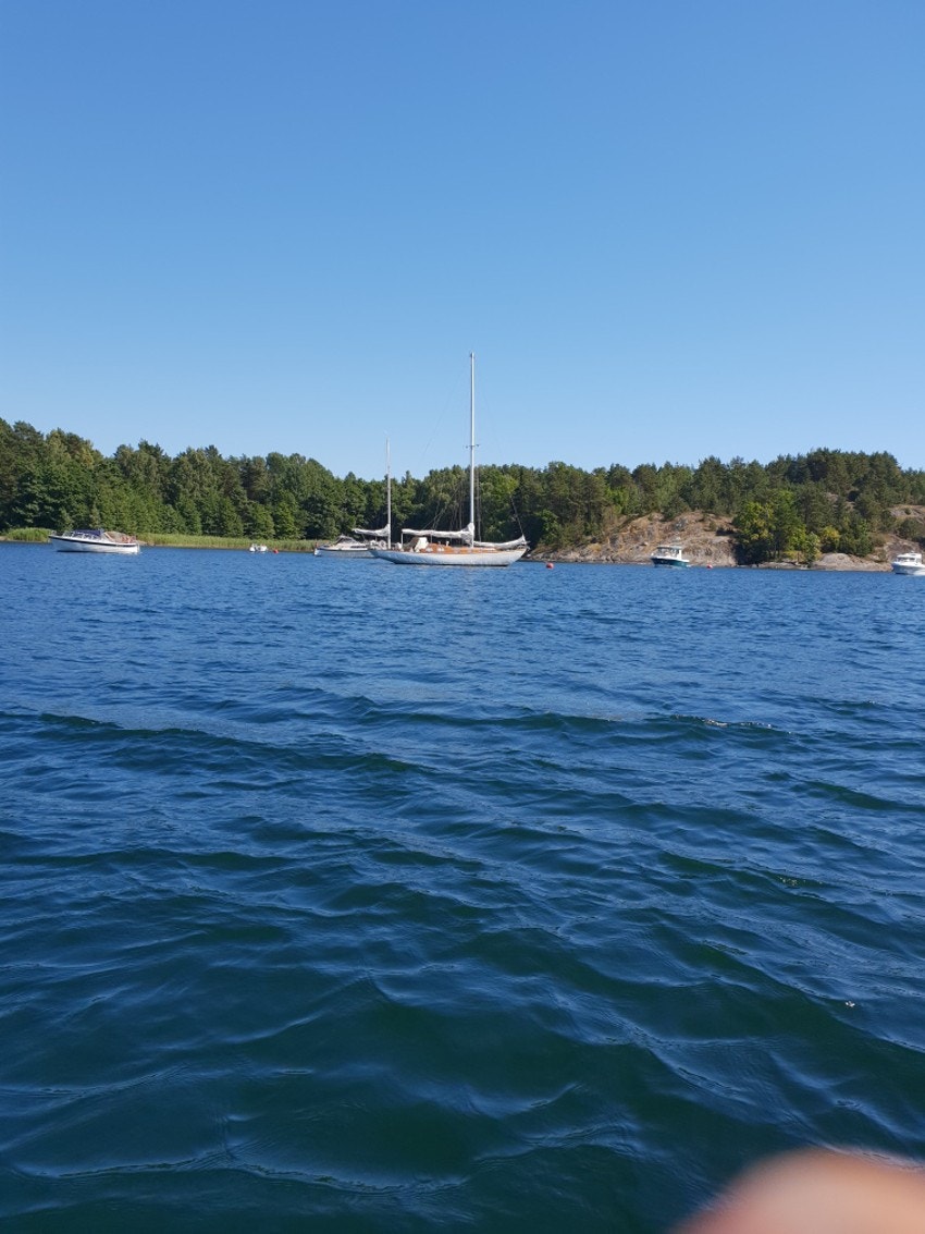 Fra nærområdet ved den lokale kommunebryggen Galleribilde