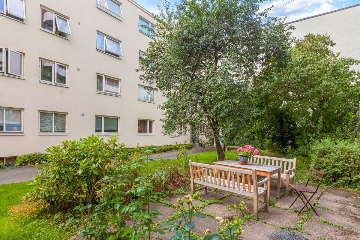 Backyard Galleribilde