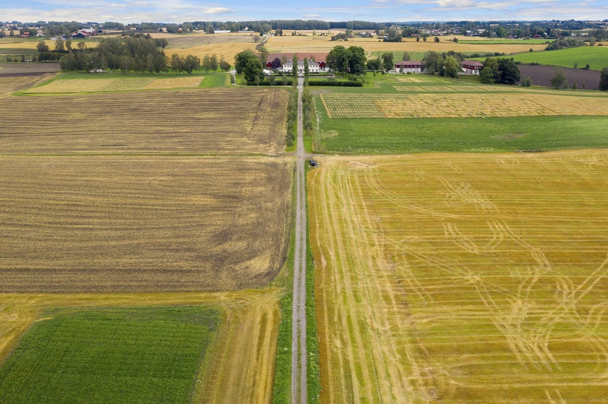 Fra hovedhuset og hageanlegget følger gårdsveien en rett linje til Mjøsa i vest Galleribilde