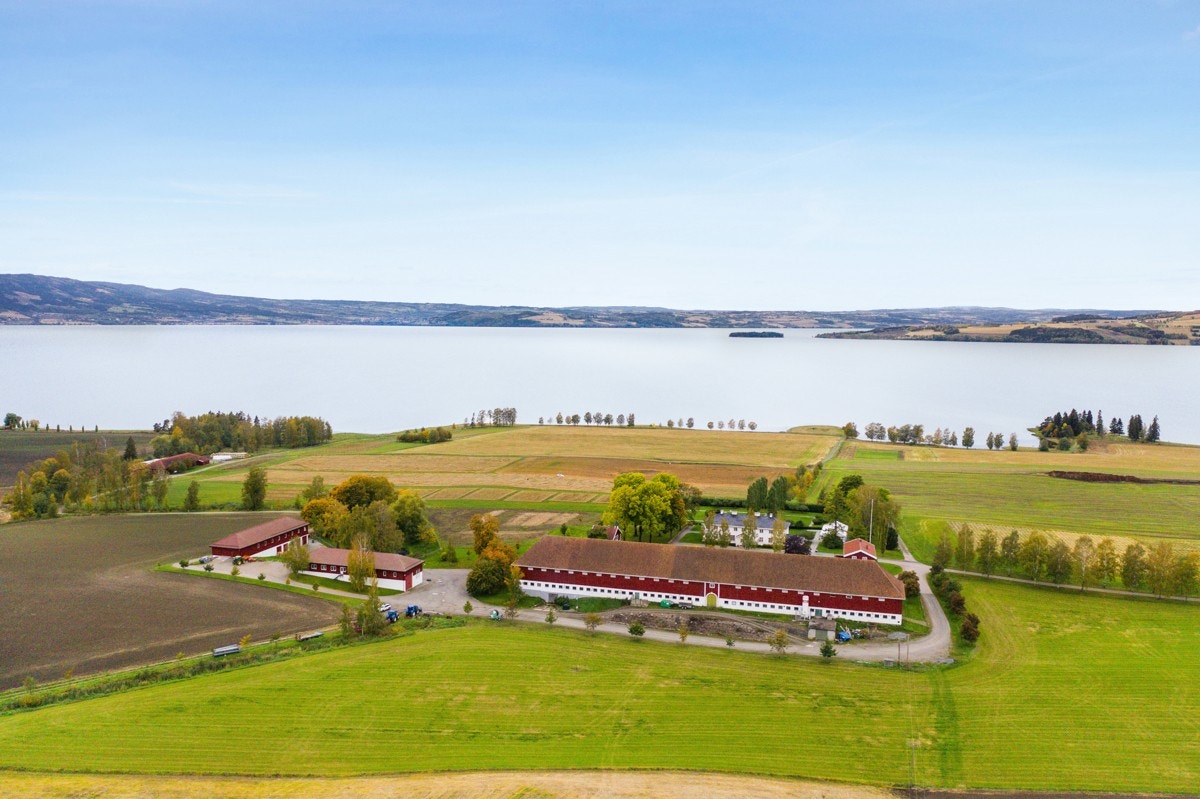 Staur gård Galleribilde