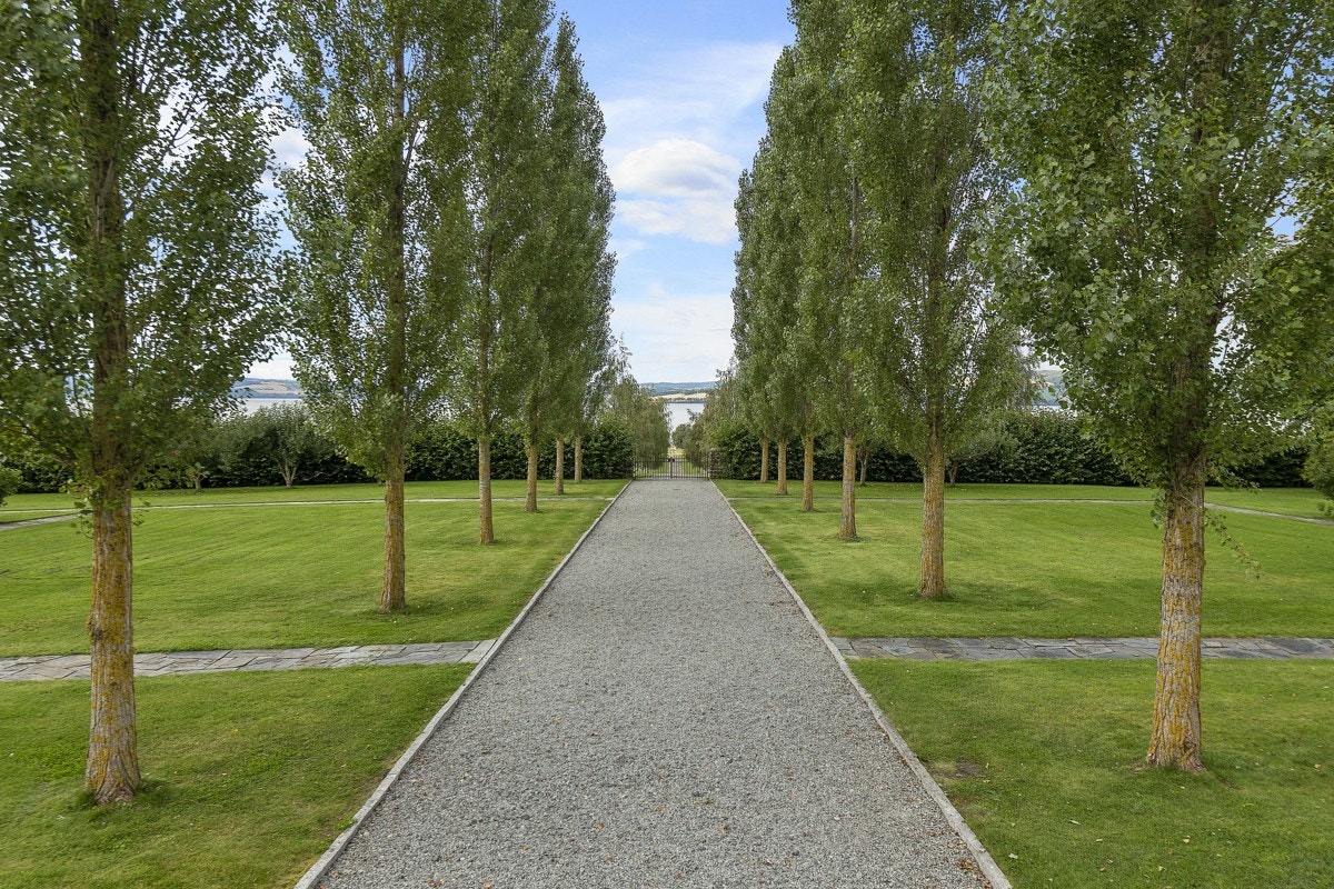 Poppelallé fra hovedbygning i retning Mjøsa Galleribilde