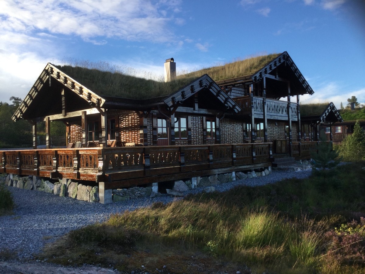 Uteområde Galleribilde