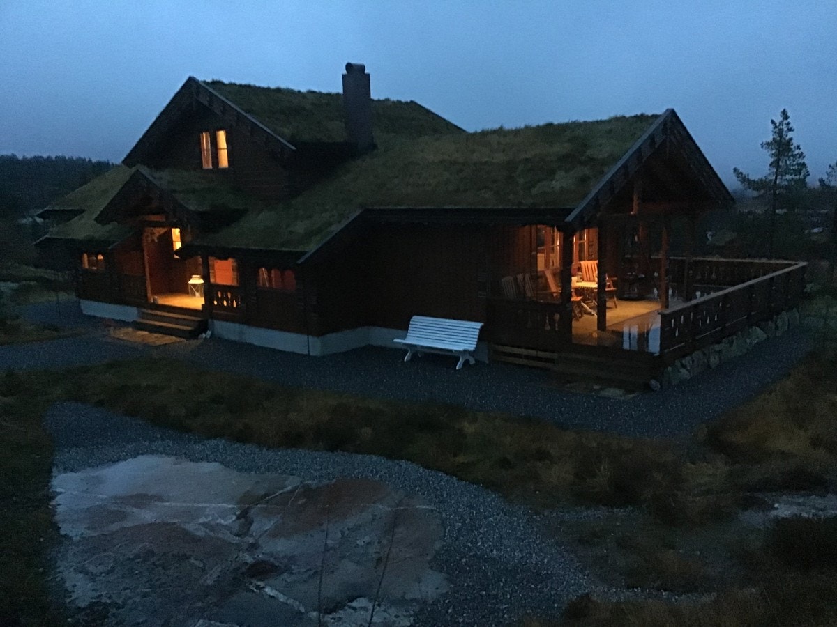 Uteområde Galleribilde