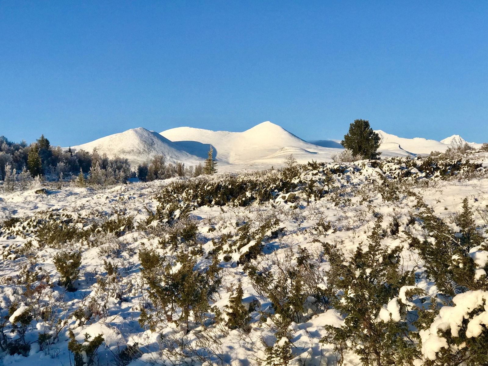 Bilde tatt fra stuevindu (fra inne) Galleribilde