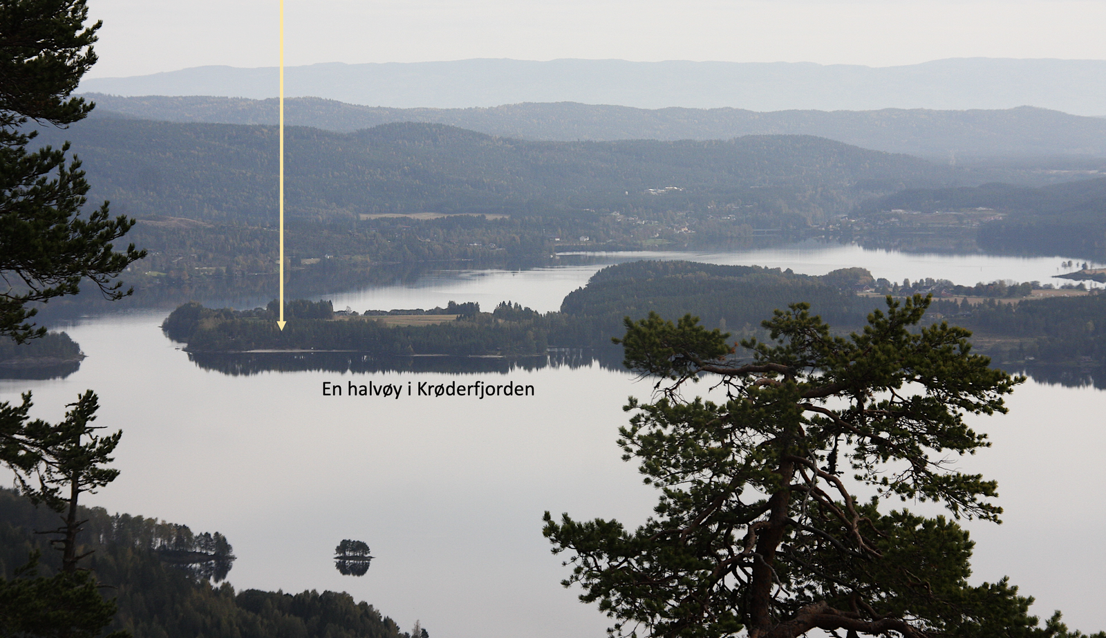 Beliggenhet på en hølvøy i Krøderfjorden Galleribilde