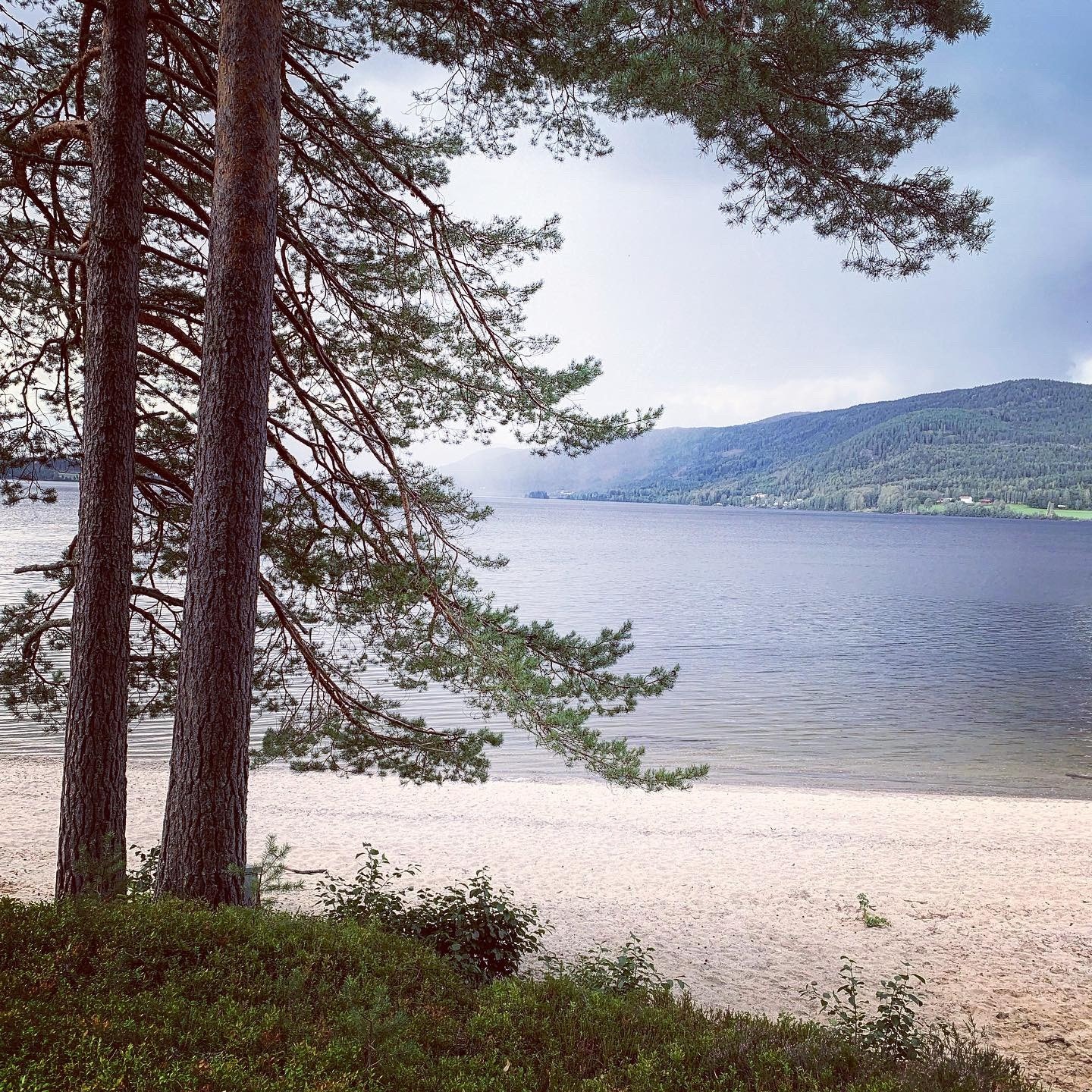 Utsikten fra badstua Galleribilde