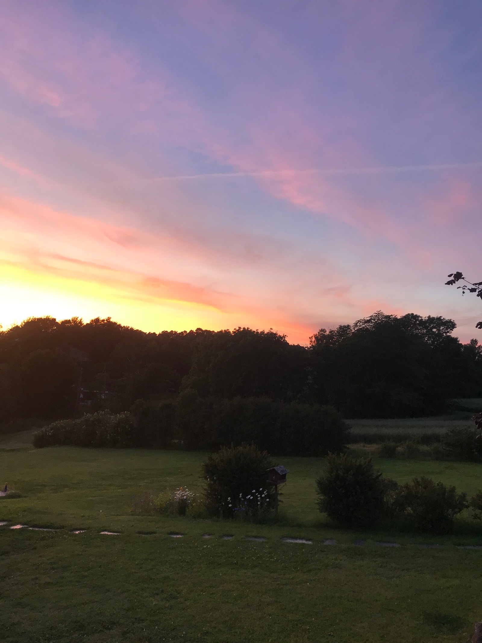 En sommerkveld Galleribilde