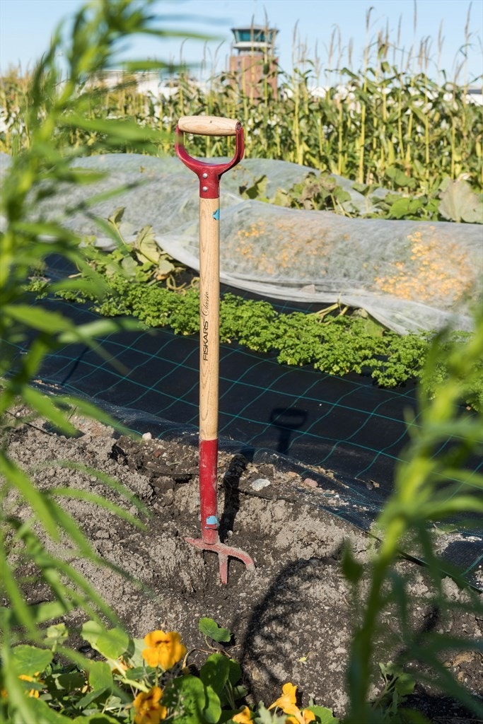 Potethøst 2 Galleribilde