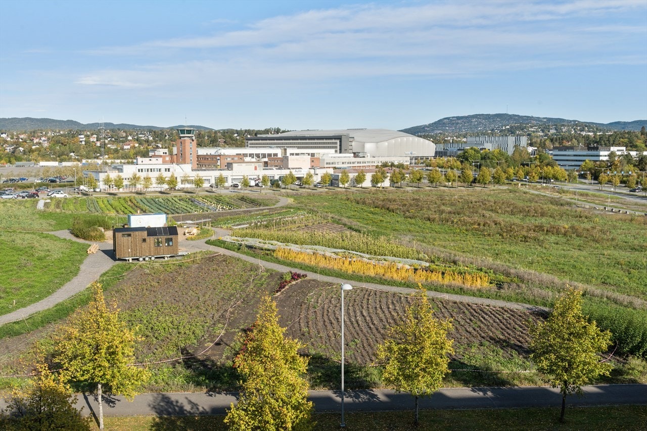 Utsikt over grøntarealer og mot Telenor Arena. Galleribilde