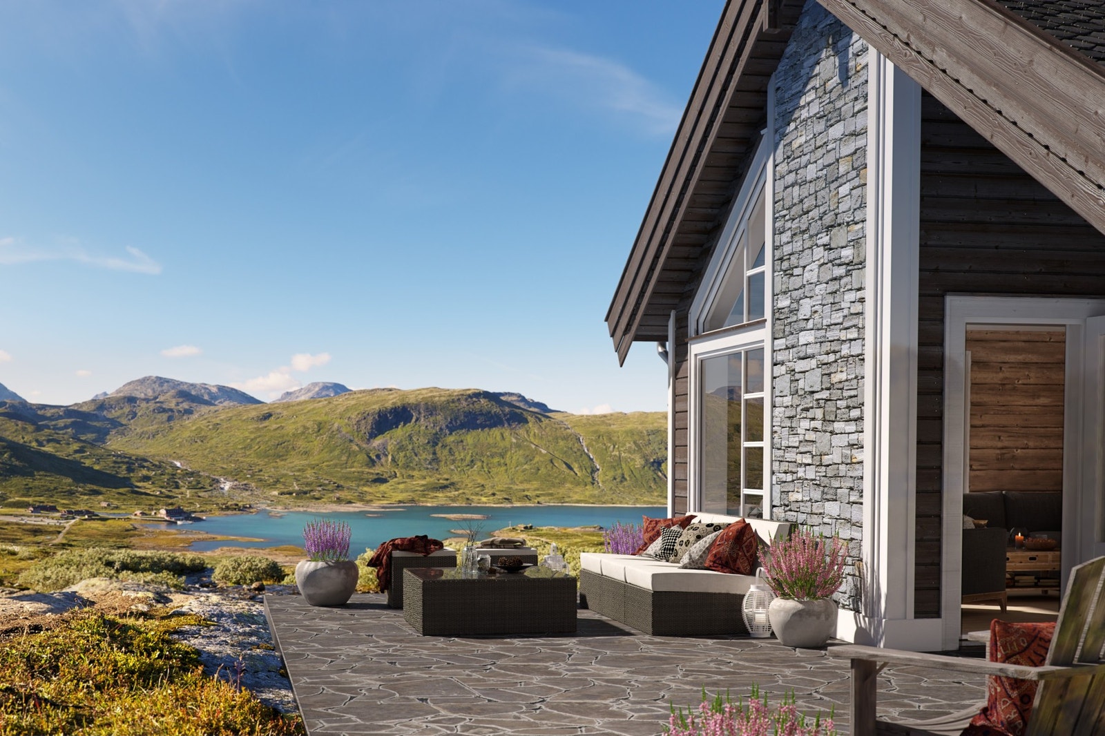 Gråhø (illustrasjon) Galleribilde