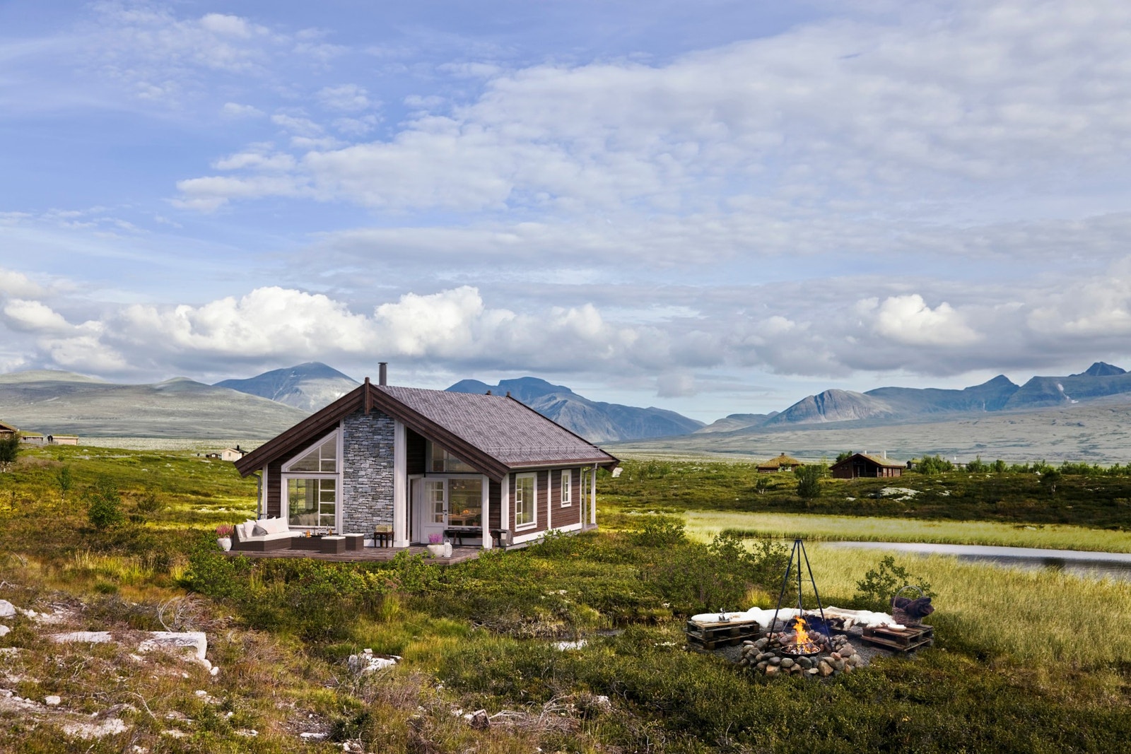 Gråhø (illustrasjon) Galleribilde