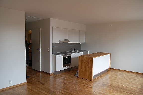 Hyggelig kjøkken med nye hvitevarer fra Grundig (Oppvaskmaskin, induksjon platetopp og integrert ovn) Alt nytt i 2023 Galleribilde