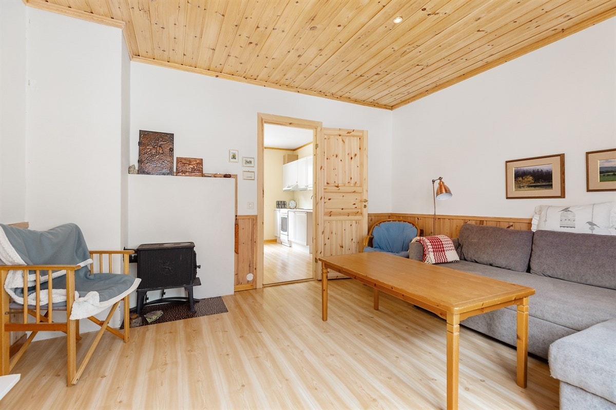 Lys og trivelig stue utstyrt med vedovn Galleribilde