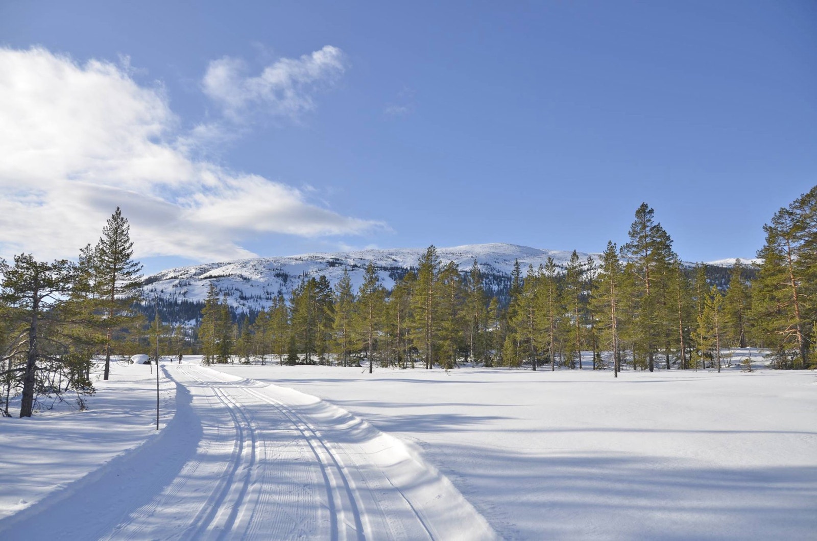 Mil etter mil med oppkjørte skiløyper. Galleribilde