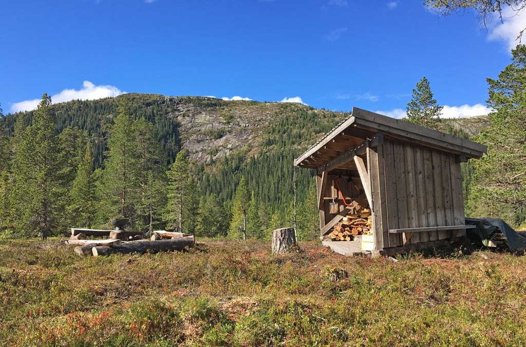 Flotte turmål Galleribilde