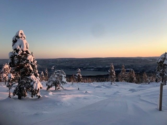 Åpent landskap og flott utsikt fra tomtene. Galleribilde