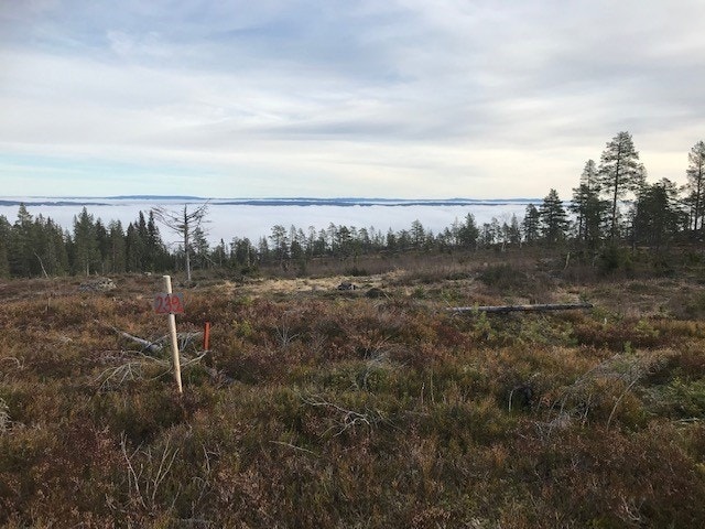 Tuntomt 239, utsikt over bygda. Vikerfjell ligger over tåka. Galleribilde