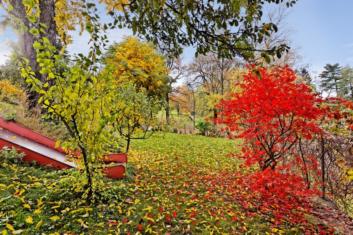 Barnevennlig felles hage med diverse lekeapparater. Galleribilde