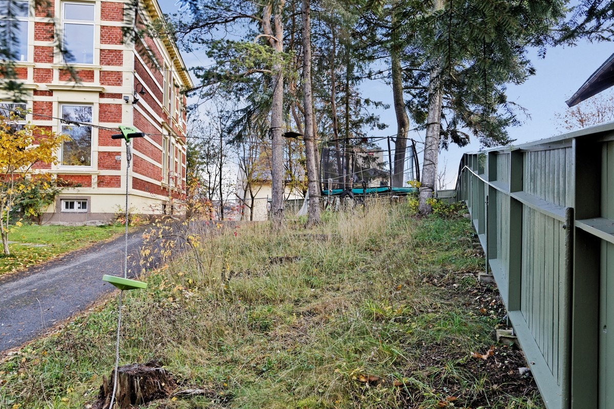 Felles skog/ustelt del av hagen med sipliner, sandkasse, huske, trampoline, byens flotteste belyste juletre. Galleribilde