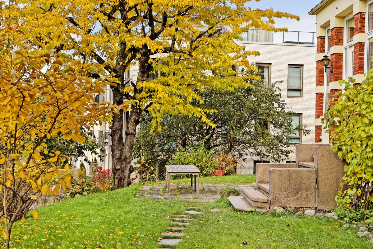 Hagen er møblert om sommeren for store og små anledninger. Galleribilde
