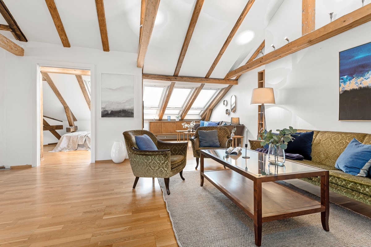 Stue og TV-stue med utsikt mot St. Hanshaugen-parken. Galleribilde