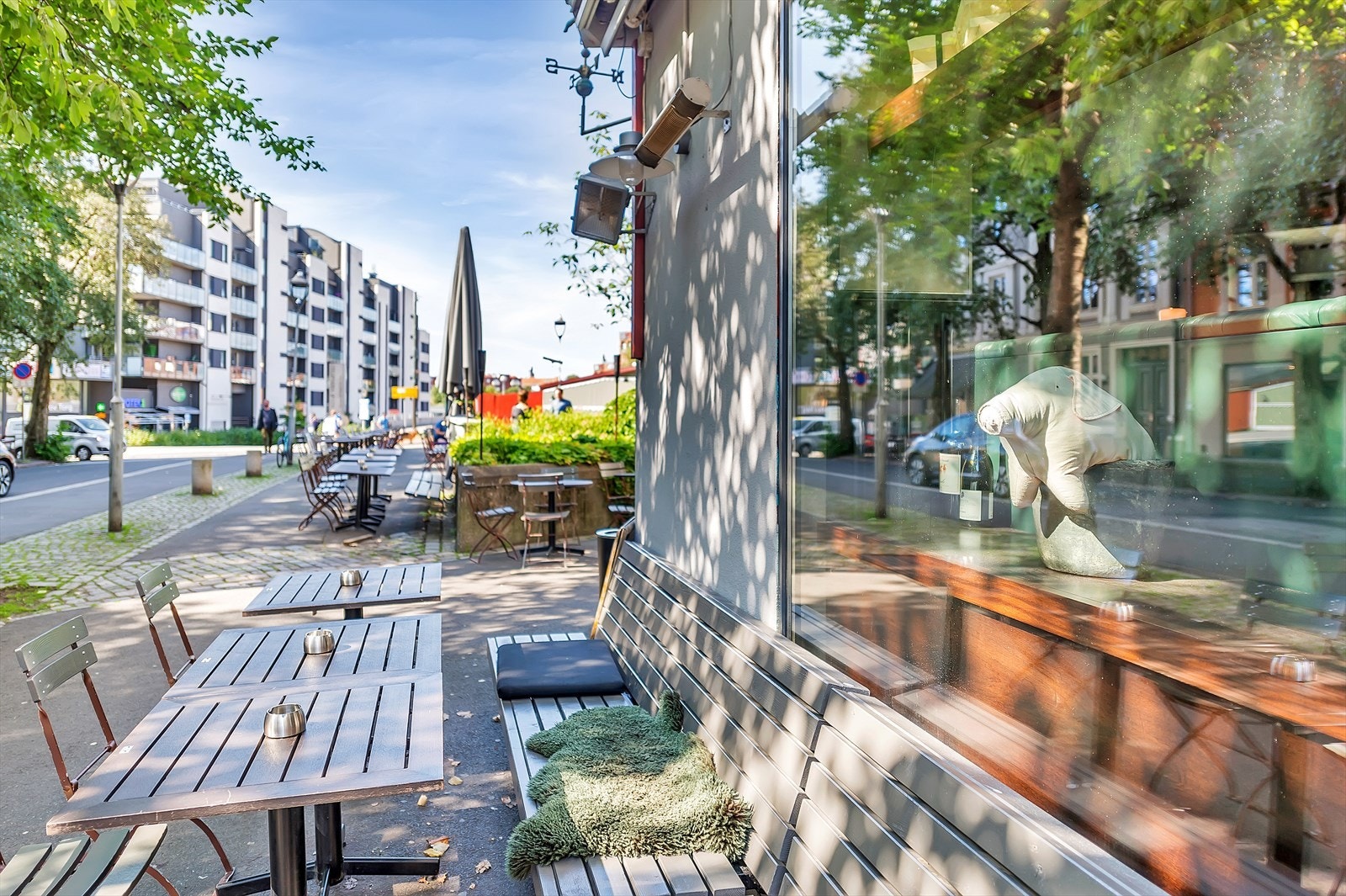 Grisen rett ned i gata fra leiligheten Galleribilde