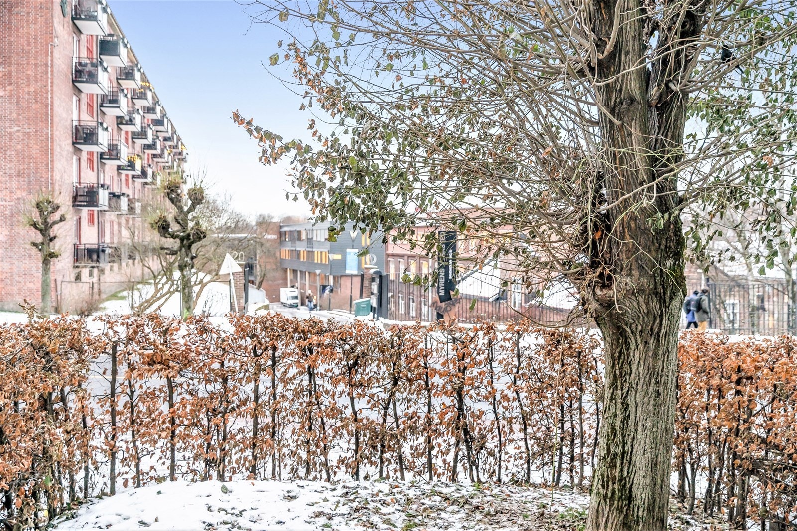 Forhage og hekk foran balkongen som gjør at leiligheten ligger tilbaketrukket fra vei Galleribilde