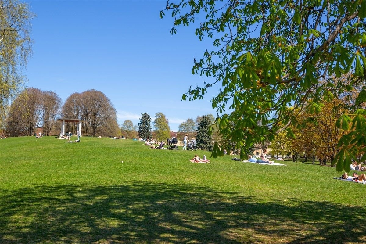 Området Galleribilde