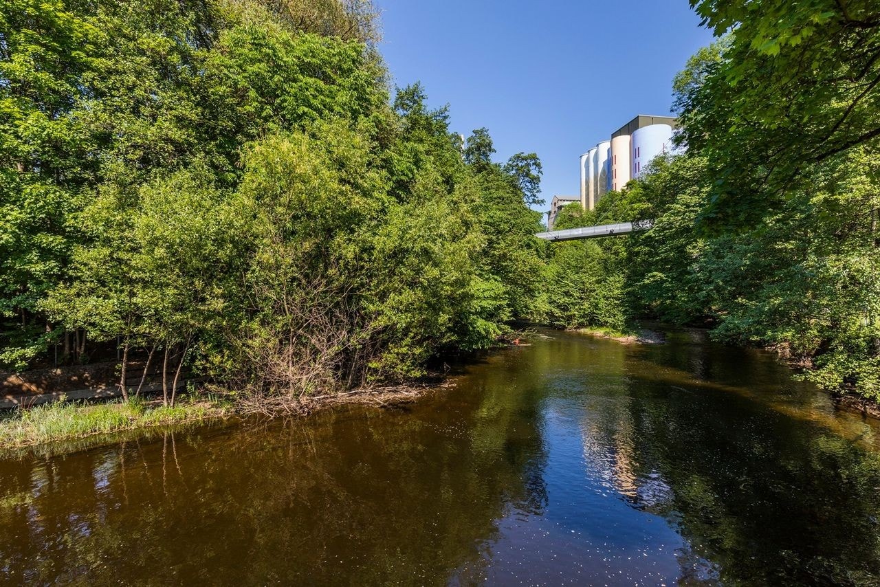 Området Galleribilde