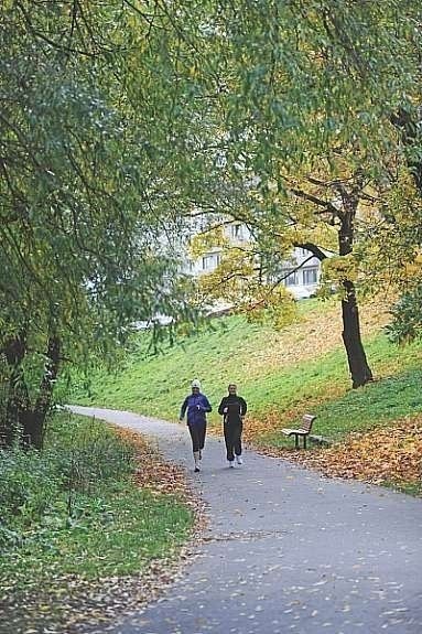 Området Galleribilde