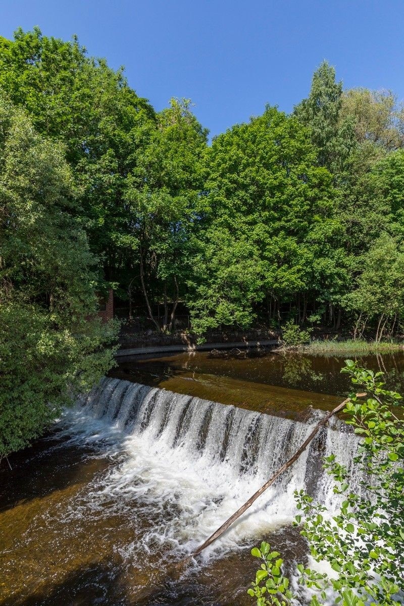 Området Galleribilde