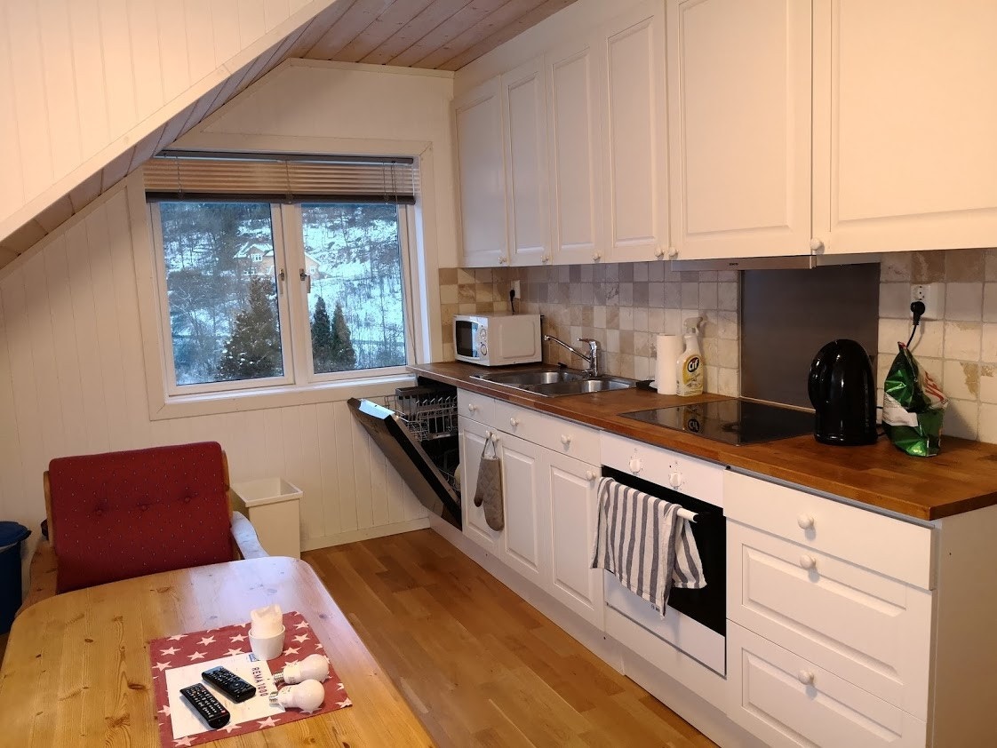 Kjøkken med induksjonsovn og oppvaskemaskin Galleribilde