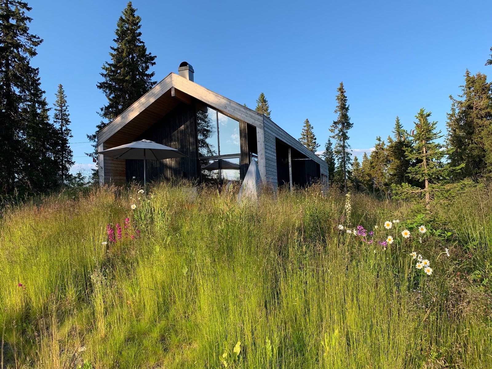 Fjellsommer Galleribilde