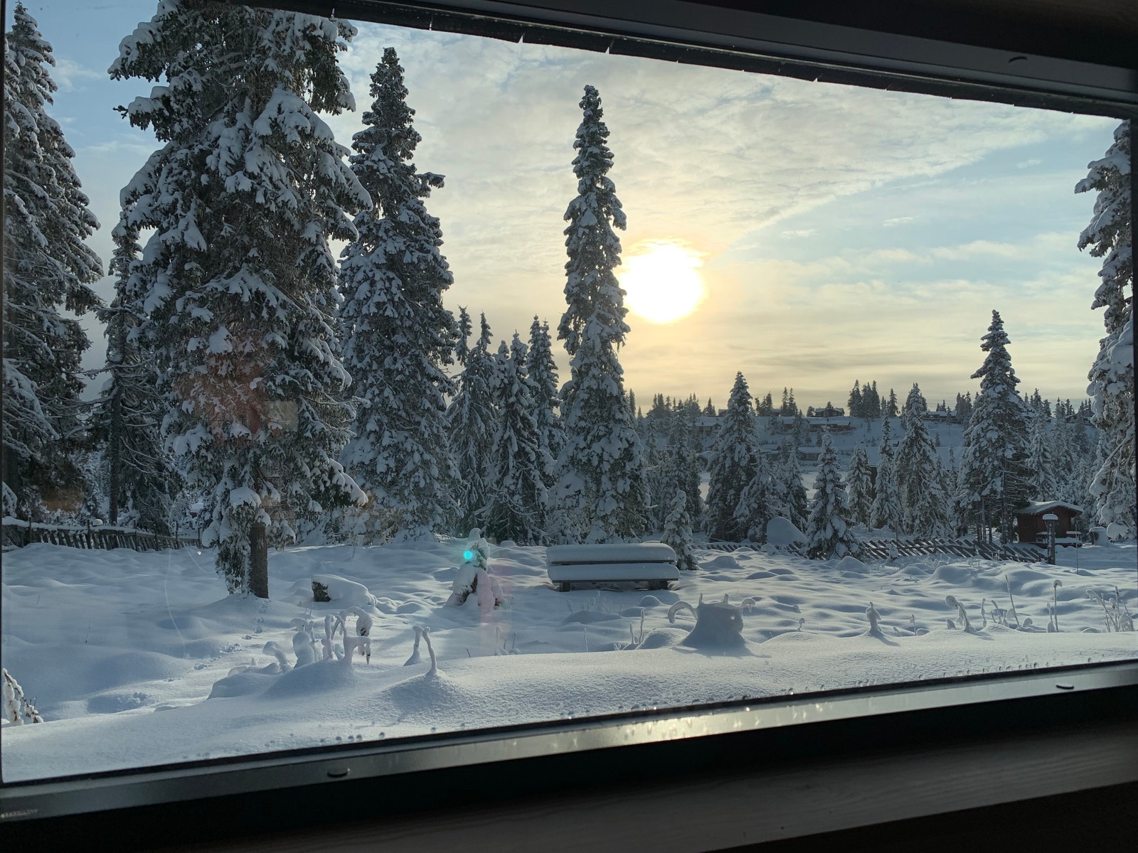 Utsikt fra frokostbordet Galleribilde