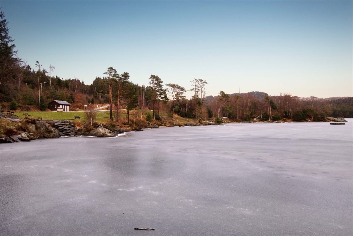 Nærområde - Djupadalen Galleribilde