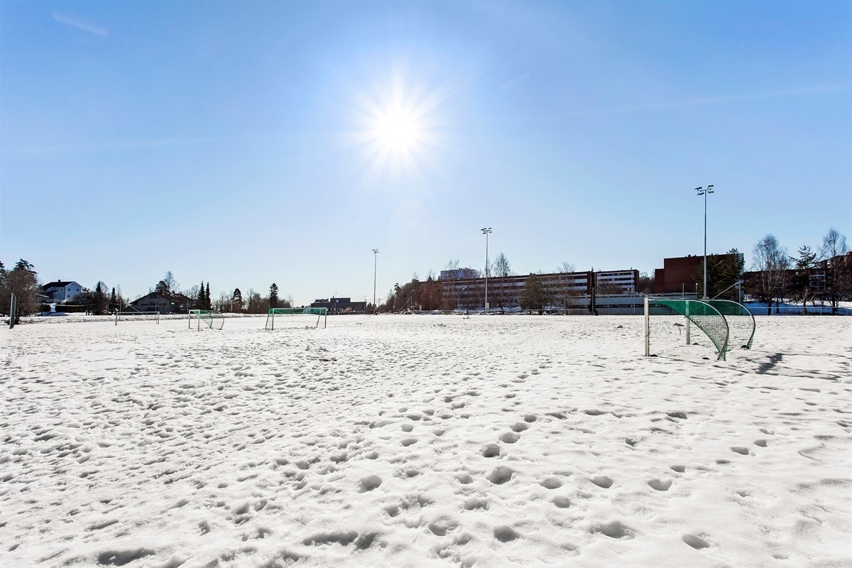 Ved Voksen Skole er det en stor kunstgressbane som er et herlig oppholdssted på sommerhalvåret Galleribilde