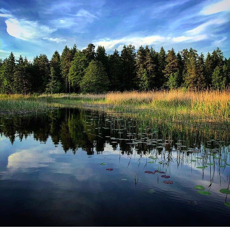 Flotte naturomgivelser - bliksøya. Galleribilde