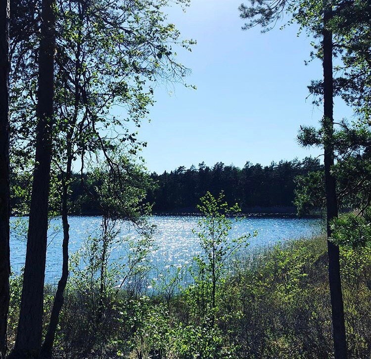 Tursti utenfor døra til brønnerødtjern Galleribilde