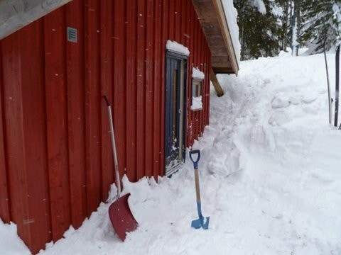 Utebilde Galleribilde