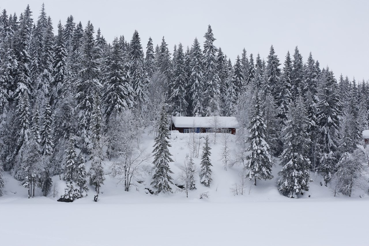 Hytta sett fra vannet Galleribilde