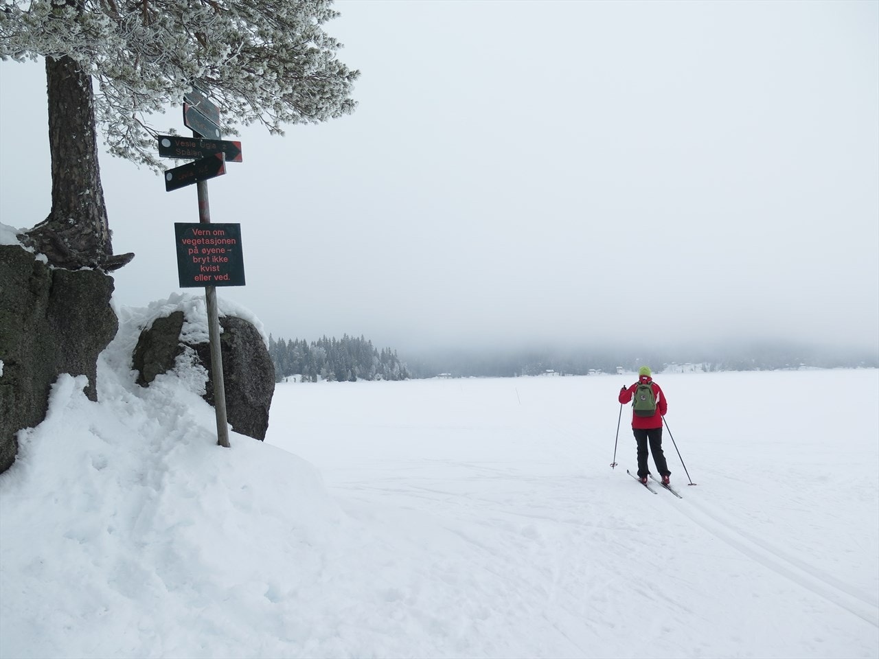 Nærområdet Galleribilde