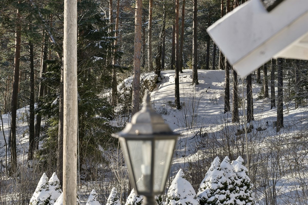 Marka som nærmeste nabo. Galleribilde