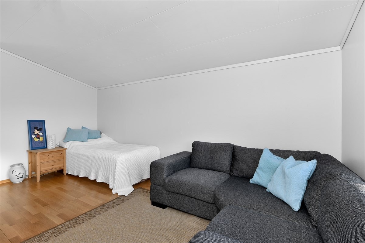 Rommet er innredet med sofa, seng og tv. Galleribilde