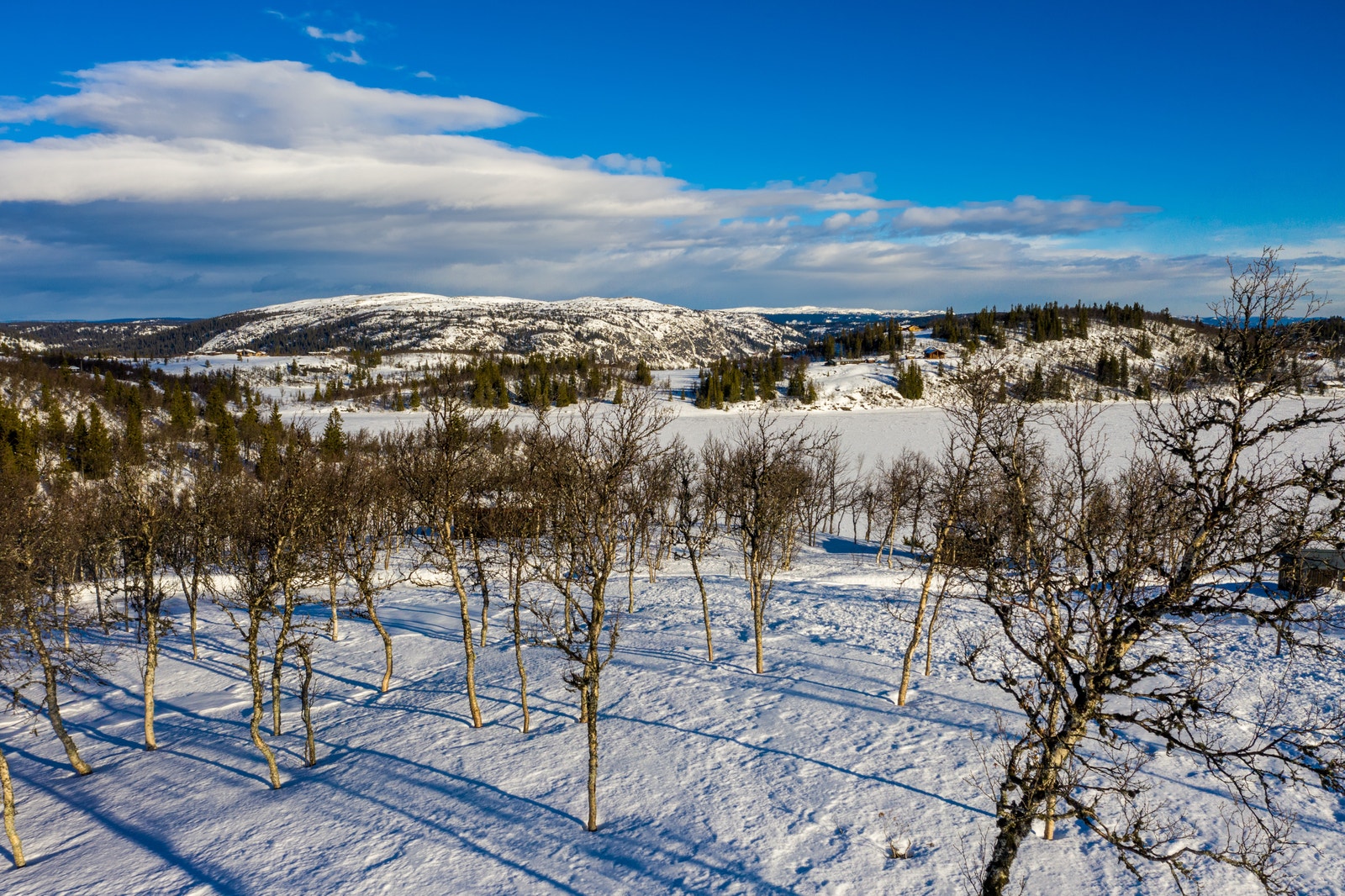Mot Nord Galleribilde