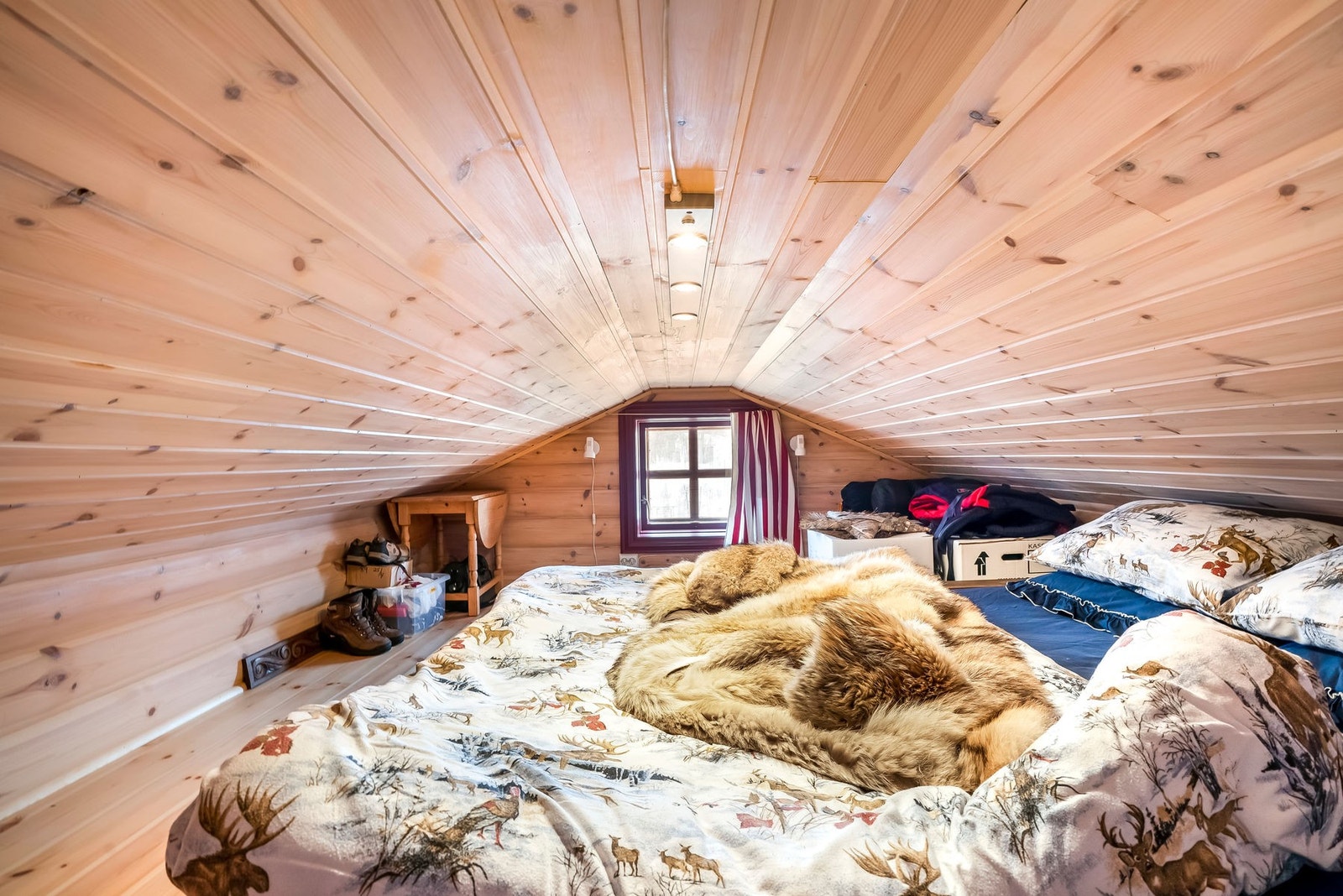 12301913 Galleribilde