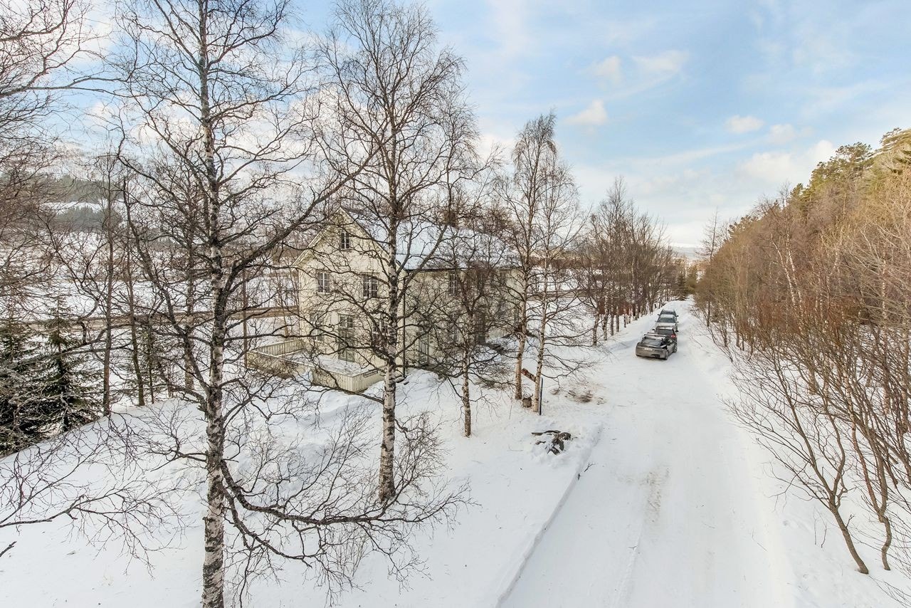 Mastfoto. Galleribilde