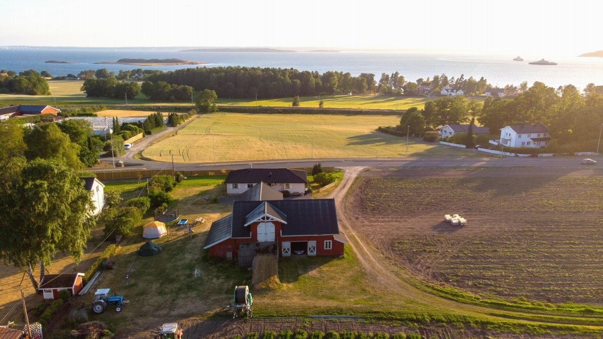 En sjelden anledning Galleribilde